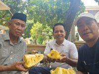 H. Sukardi Latief Hijaukan Blok M BTP, Wujudkan Ketahanan Pangan Lewat Urban Farming